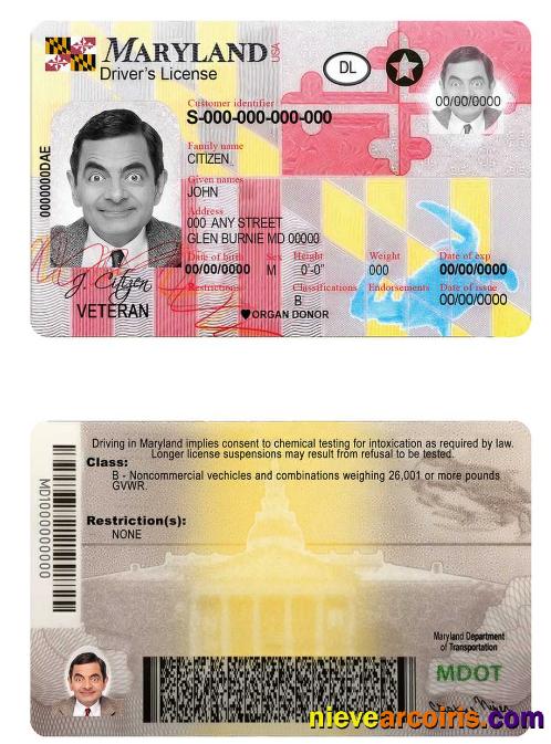 USA Maryland driving license